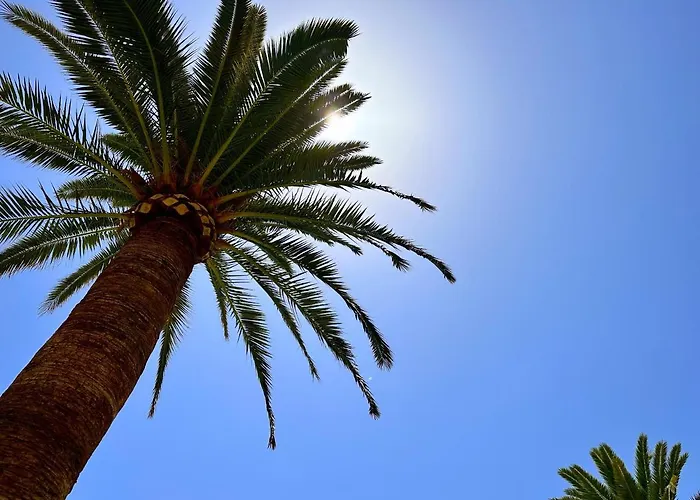 Carabeo 26 Boutique Casasol アパート